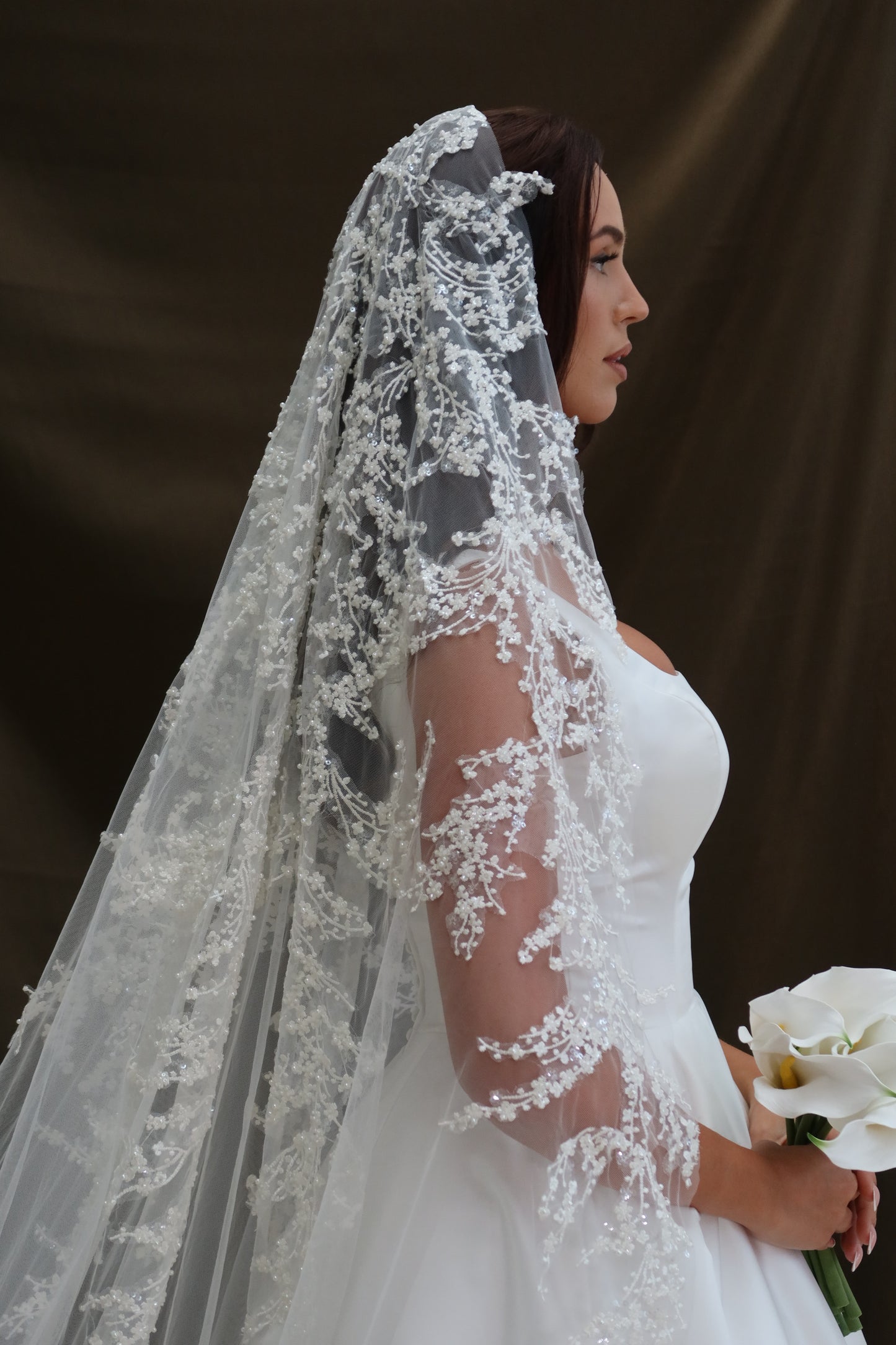 Lana Beaded Ivory gradient wedding veil