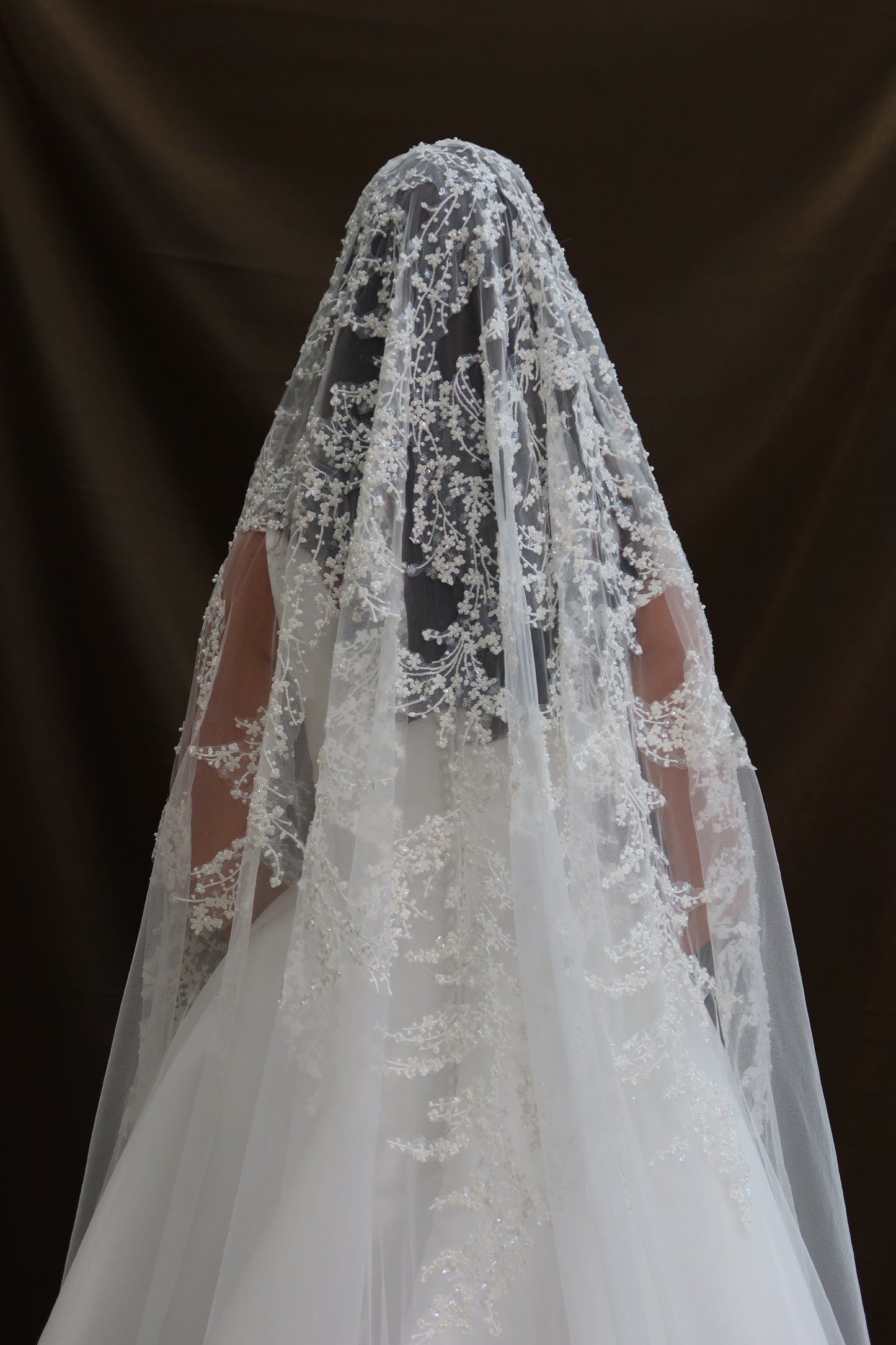 Lana Beaded Ivory gradient wedding veil