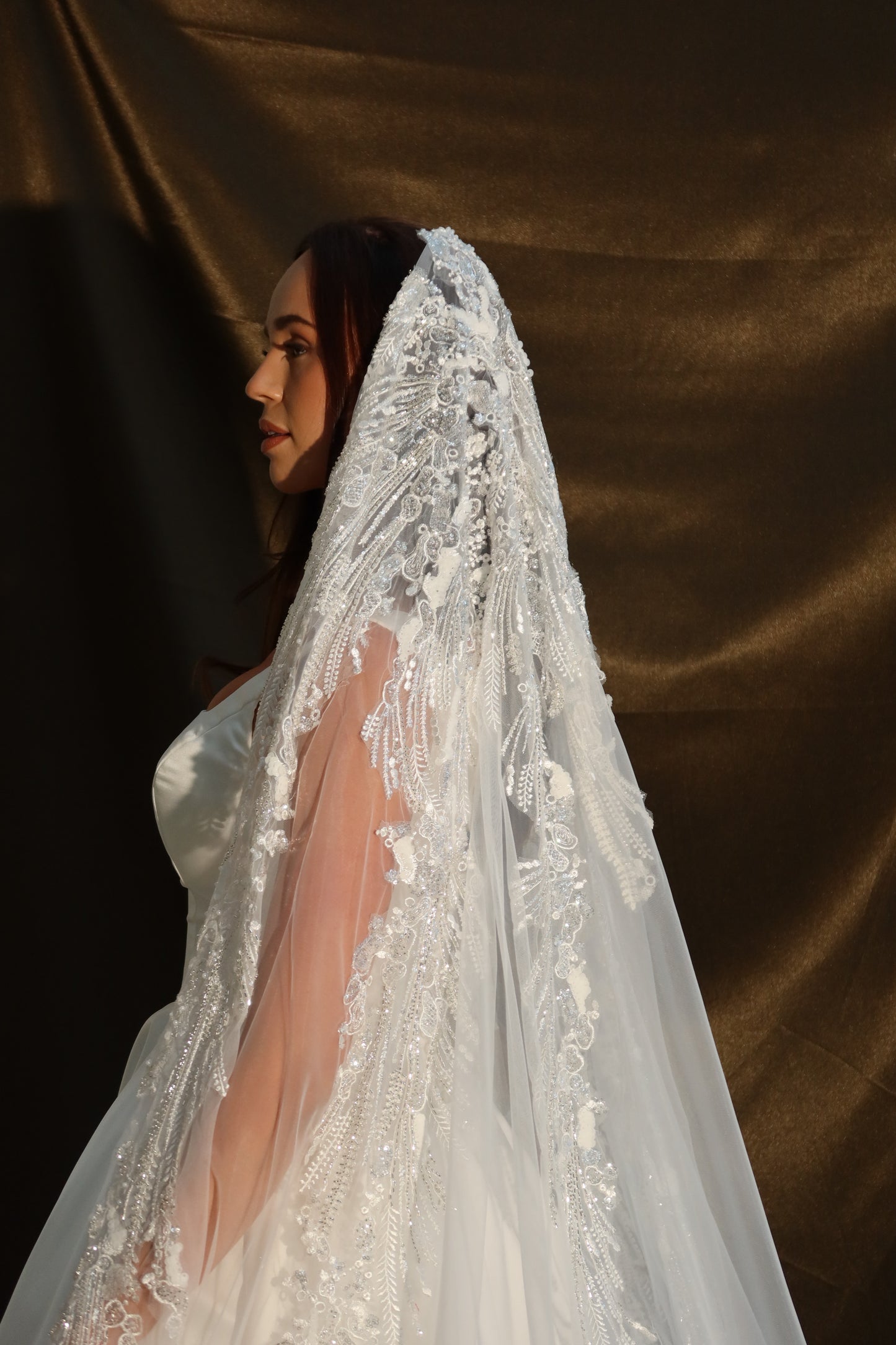 Dina Beaded Ivory gradient wedding veil