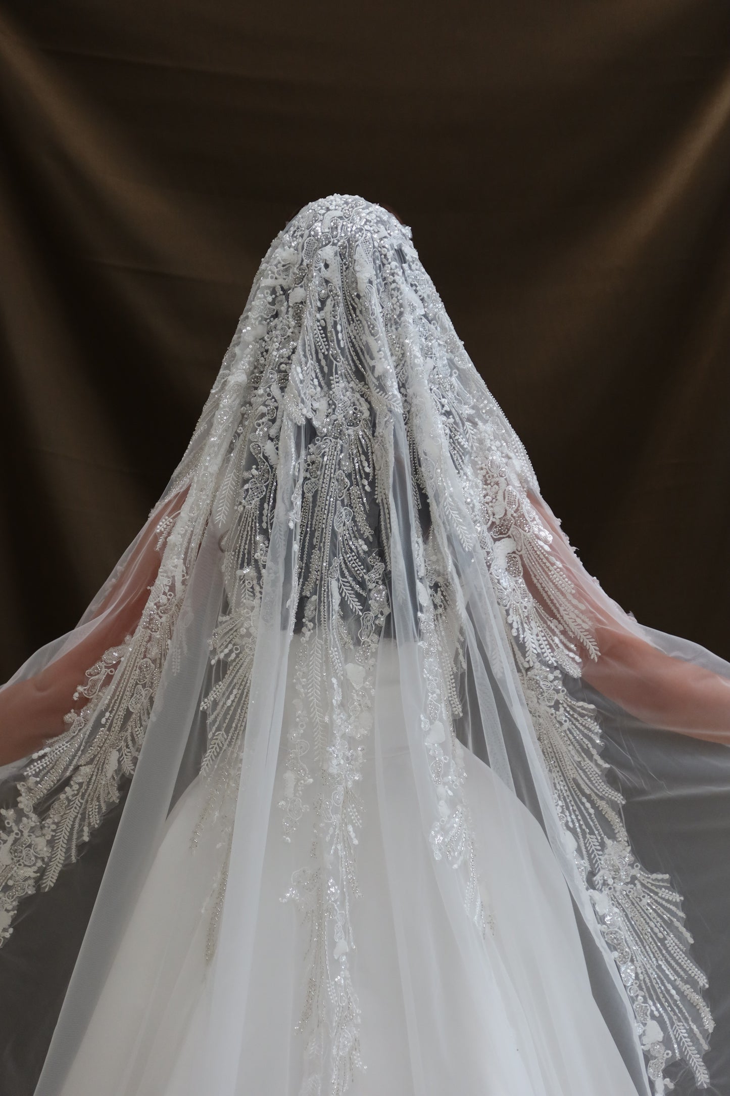 Dina Beaded Ivory gradient wedding veil