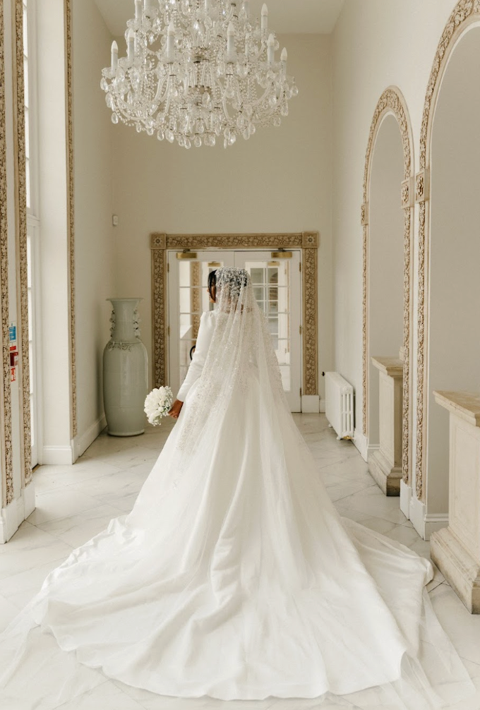 Luna pearl and sequin wedding Veil