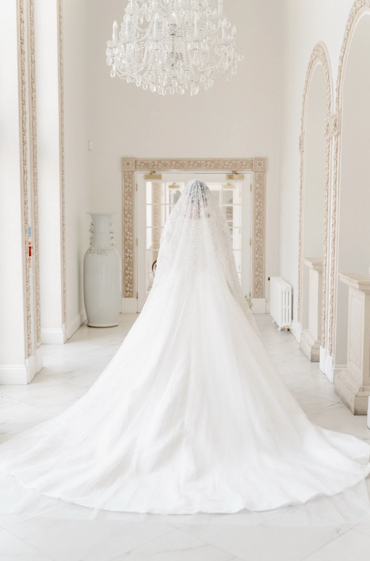 Luna pearl and sequin wedding Veil
